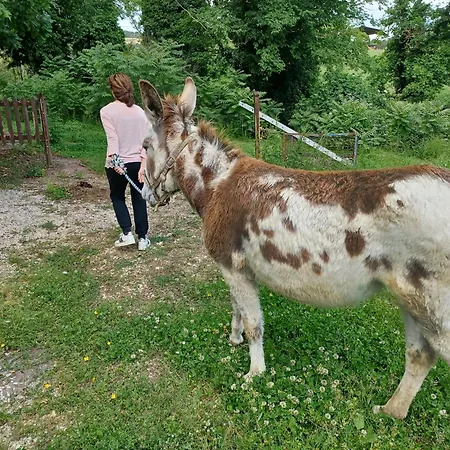 Le Cerque * Spoleto