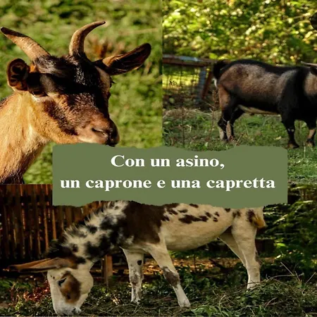 Le Cerque Bed & Breakfast Spoleto