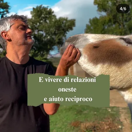 Le Cerque *