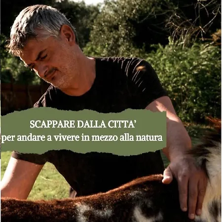 Le Cerque * Spoleto